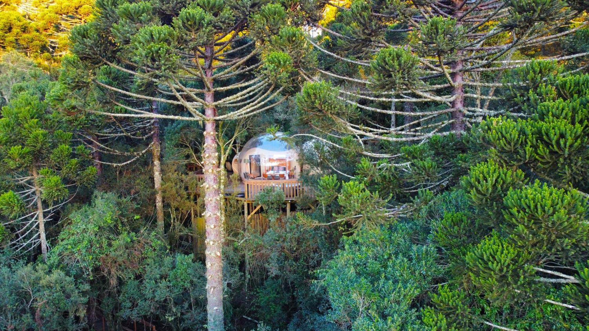 Zion Bubble Glamping 호텔 우루비시 외부 사진